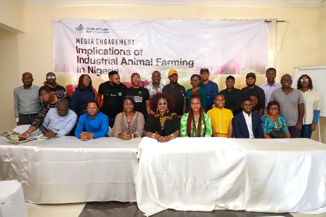 Factory farming poses fresh threat to Nigeria’s environment, public health — Experts